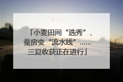 小麦田间“选秀”、蚕房变“流水线”……三夏收获正在进行