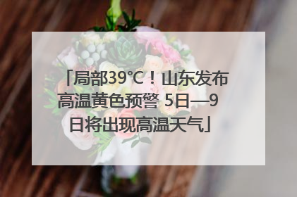 局部39℃！山东发布高温黄色预警 5日—9日将出现高温天气