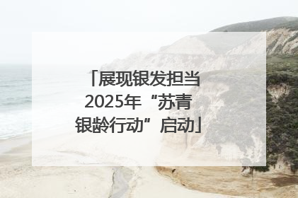 展现银发担当 2025年“苏青银龄行动”启动
