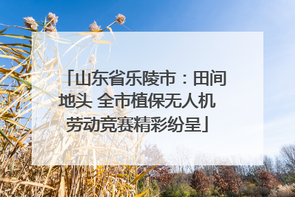 山东省乐陵市：田间地头 全市植保无人机劳动竞赛精彩纷呈