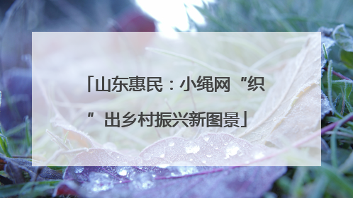 山东惠民：小绳网“织”出乡村振兴新图景
