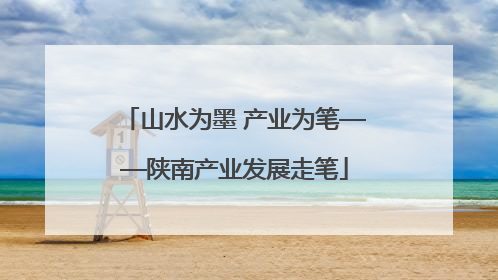 山水为墨 产业为笔——陕南产业发展走笔