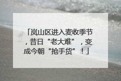 岚山区进入麦收季节，昔日“老大难”，变成今朝“抢手货”！