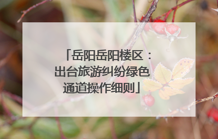 岳阳岳阳楼区：出台旅游纠纷绿色通道操作细则