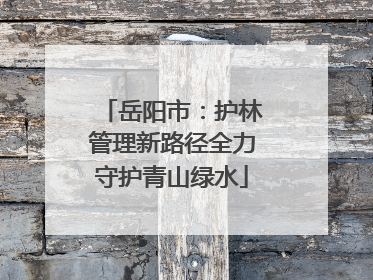 岳阳市：护林管理新路径全力守护青山绿水