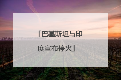 巴基斯坦与印度宣布停火