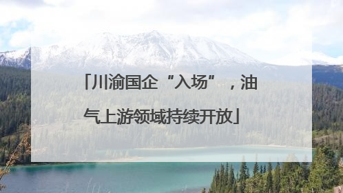 川渝国企“入场”，油气上游领域持续开放