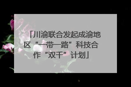 川渝联合发起成渝地区“一带一路”科技合作“双千”计划