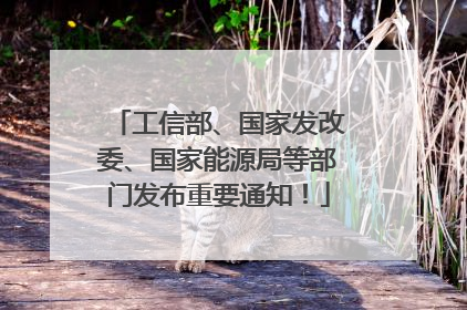 工信部、国家发改委、国家能源局等部门发布重要通知！