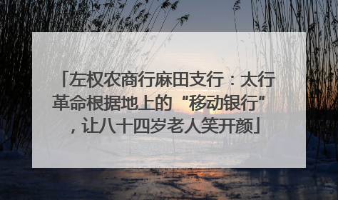左权农商行麻田支行：太行革命根据地上的“移动银行”，让八十四岁老人笑开颜