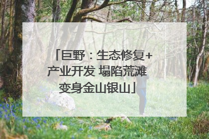 巨野：生态修复+产业开发 塌陷荒滩变身金山银山