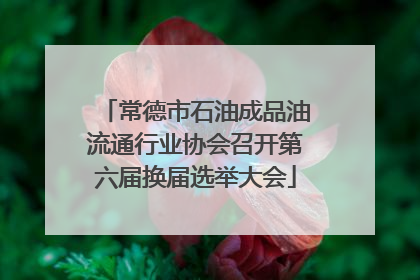 常德市石油成品油流通行业协会召开第六届换届选举大会