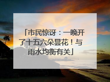 市民惊讶：一晚开了十五六朵昙花！与雨水均衡有关