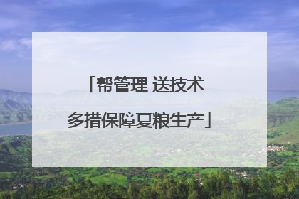 帮管理 送技术 多措保障夏粮生产