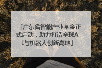广东省智能产业基金正式启动，助力打造全球AI与机器人创新高地