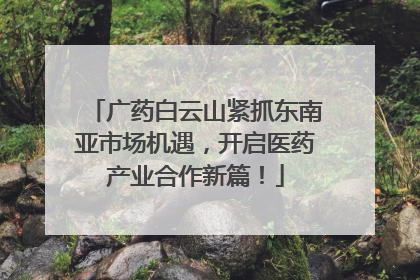 广药白云山紧抓东南亚市场机遇，开启医药产业合作新篇！