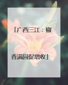 广西三江：椒香满园促增收