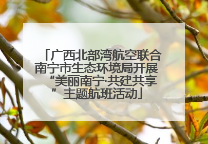 广西北部湾航空联合南宁市生态环境局开展“美丽南宁·共建共享”主题航班活动