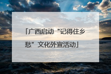 广西启动“记得住乡愁”文化外宣活动