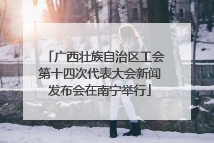 广西壮族自治区工会第十四次代表大会新闻发布会在南宁举行