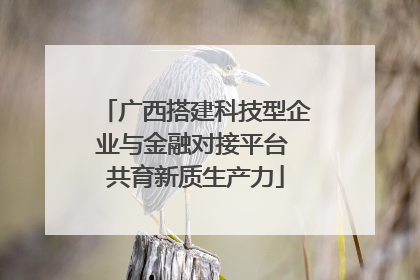 广西搭建科技型企业与金融对接平台 共育新质生产力