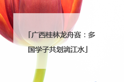 广西桂林龙舟赛：多国学子共划漓江水