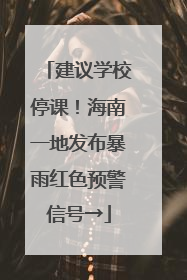 建议学校停课！海南一地发布暴雨红色预警信号→