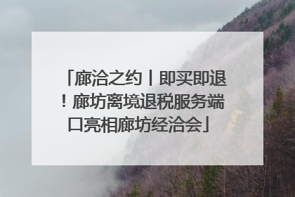 廊洽之约丨即买即退！廊坊离境退税服务端口亮相廊坊经洽会