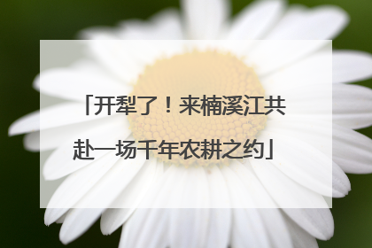 开犁了！来楠溪江共赴一场千年农耕之约
