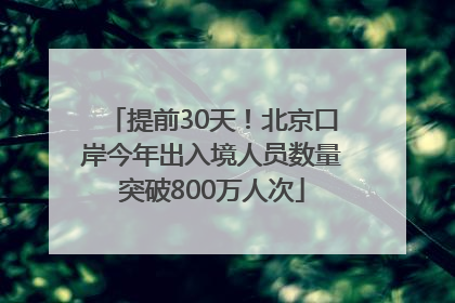 提前30天！北京口岸今年出入境人员数量突破800万人次