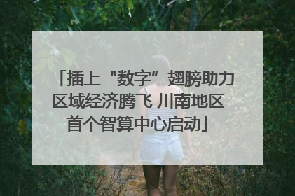 插上“数字”翅膀助力区域经济腾飞 川南地区首个智算中心启动