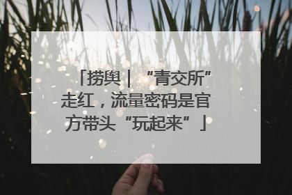 捞舆｜“青交所”走红，流量密码是官方带头“玩起来”