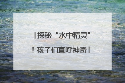 探秘“水中精灵”！孩子们直呼神奇