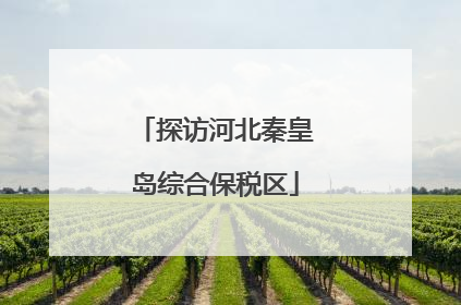 探访河北秦皇岛综合保税区