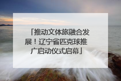 推动文体旅融合发展！辽宁省匹克球推广启动仪式启幕