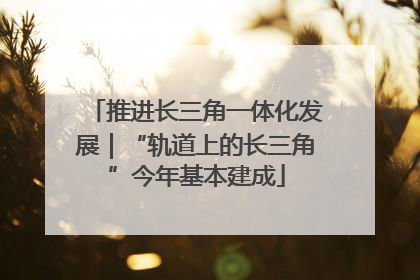 推进长三角一体化发展｜“轨道上的长三角”今年基本建成