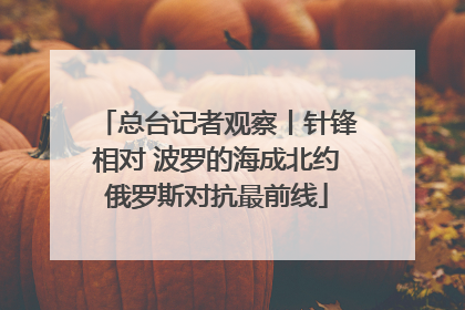 总台记者观察丨针锋相对 波罗的海成北约俄罗斯对抗最前线
