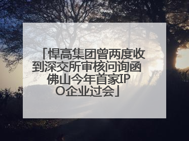 悍高集团曾两度收到深交所审核问询函 佛山今年首家IPO企业过会