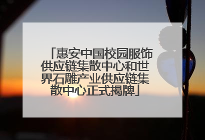 惠安中国校园服饰供应链集散中心和世界石雕产业供应链集散中心正式揭牌
