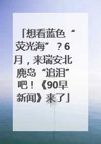 想看蓝色“荧光海”？6月，来瑞安北麂岛“追泪”吧！《90早新闻》来了