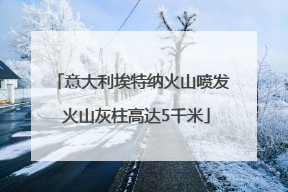 意大利埃特纳火山喷发 火山灰柱高达5千米