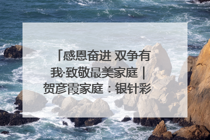 感恩奋进 双争有我·致敬最美家庭｜贺彦霞家庭：银针彩线绣出好日子