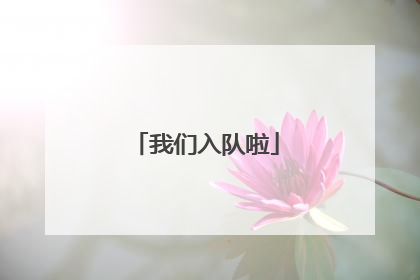 我们入队啦