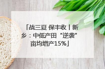 战三夏 保丰收丨新乡：中低产田“逆袭” 亩均增产15%