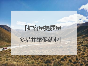 扩容量提质量 多措并举促就业