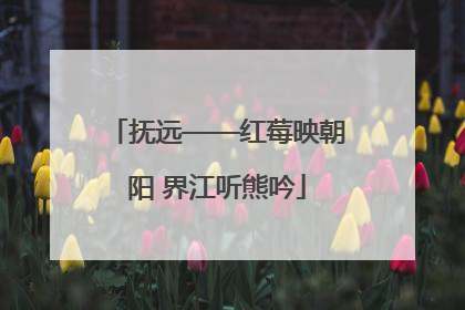 抚远——红莓映朝阳 界江听熊吟