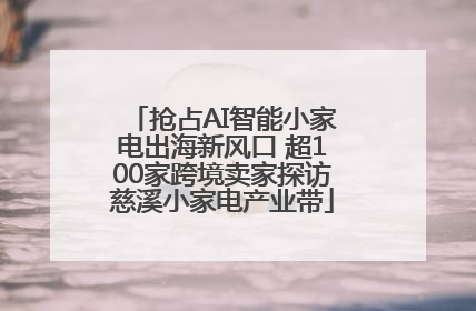 抢占AI智能小家电出海新风口 超100家跨境卖家探访慈溪小家电产业带