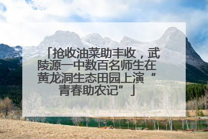 抢收油菜助丰收，武陵源一中数百名师生在黄龙洞生态田园上演“青春助农记”