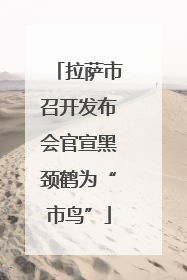 拉萨市召开发布会官宣黑颈鹤为“市鸟”