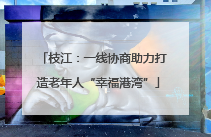 枝江：一线协商助力打造老年人“幸福港湾”